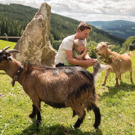 Gasthof Pension Orthofer Sankt Jakob im Walde Zewnętrze zdjęcie