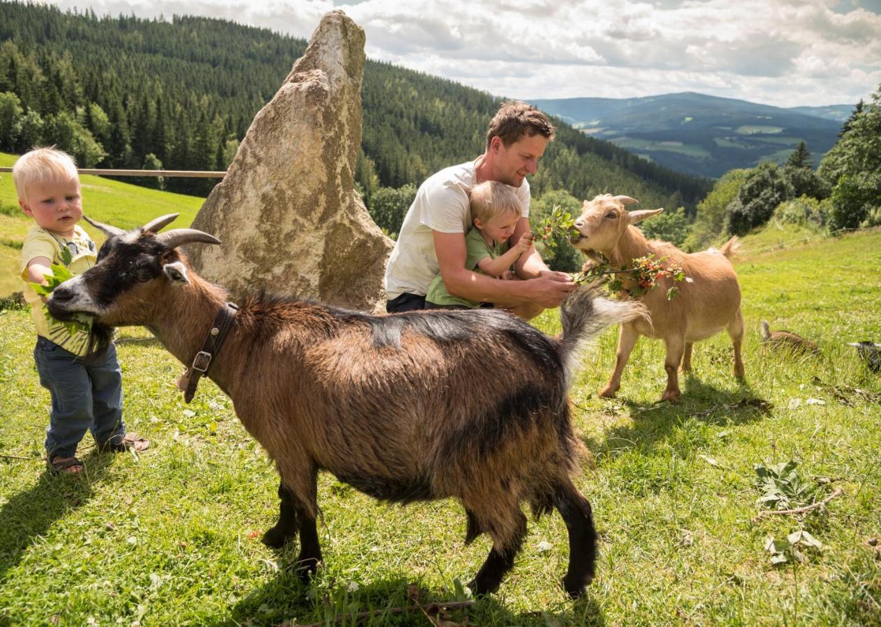 Gasthof Pension Orthofer Sankt Jakob im Walde Zewnętrze zdjęcie